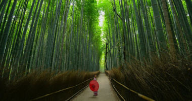 20 Địa Điểm Du Lịch Kyoto Nổi Tiếng Đẹp Hơn Tranh Vẽ