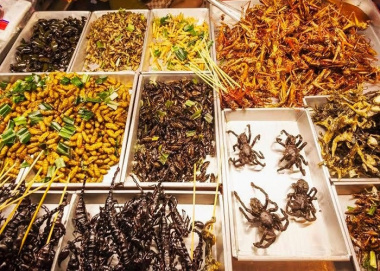 “Độc – dị – ngon” với món ăn côn trùng từ An Giang