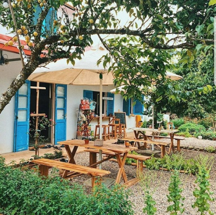 homestay, 19 homestay hà giang cực chất đưa bạn về với văn hóa vùng cao