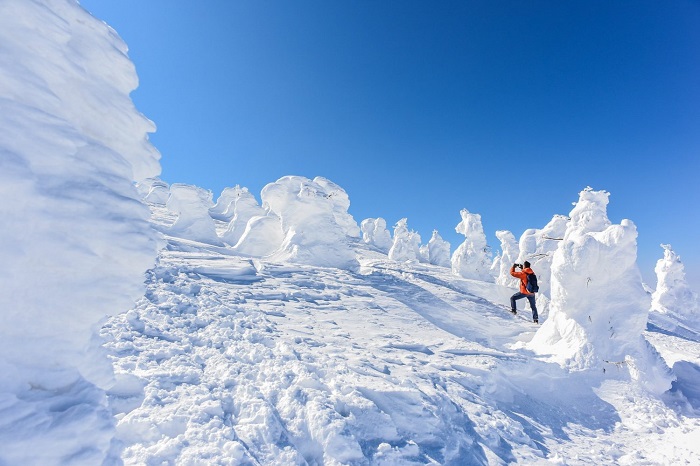 ngắm anh đào phủ tuyết trắng với trải nghiệm du lịch mùa đông ở tohoku nhật bản