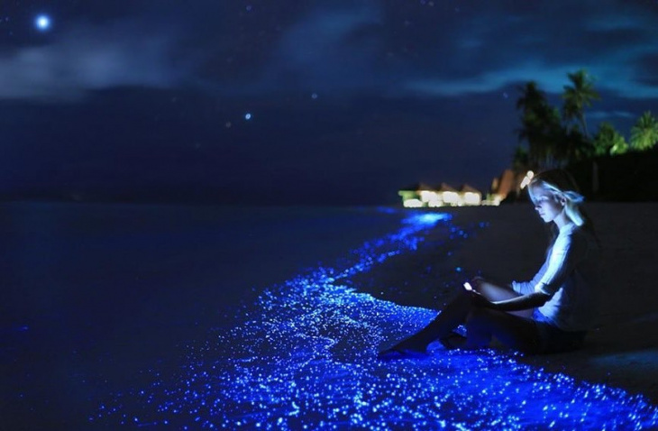 du lịch maldives, đặt phòng, glowing beach maldives, khách sạn maldives, glowing beach – bãi biển ma thuật “ngàn sao” ở maldives