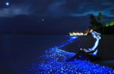 Glowing Beach – Bãi biển ma thuật “ngàn sao” ở Maldives