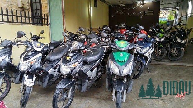 top dịch vụ cho thuê xe máy đà nẵng giá rẻ uy tín chất lượng cao