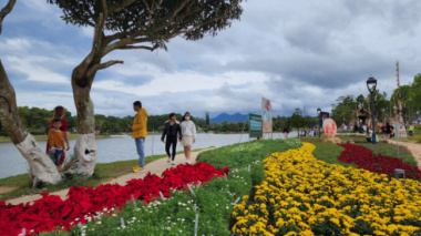 Da Lat is brilliant on the occasion of the Flower Festival