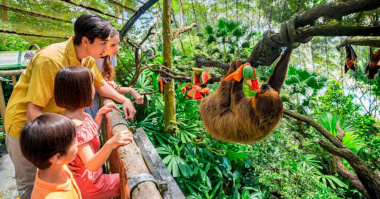 Đến Singapore Zoo, Khám Phá Thế Giới Động Vật Đa Sắc Màu