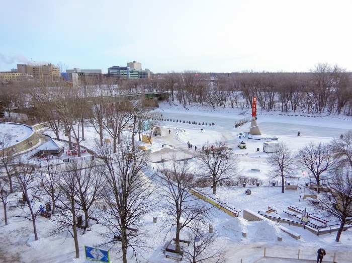 chụp ảnh cùng gấu bắc cực, chơi crokinole trên tuyết và tận hưởng mùa đông ở winnipeg