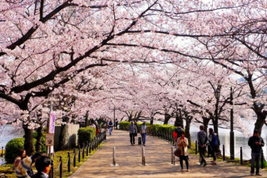 Du lịch Nhật Bản mùa xuân, Những cảnh đẹp ở Nhật Bản mùa xuân
