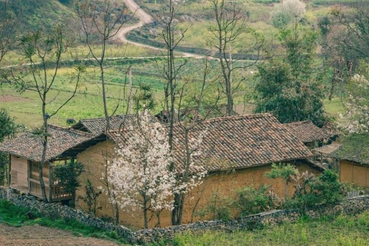 homestay, top 10 homestay lô lô chải lũng cú hà giang – mang đậm phong cách cổ xưa