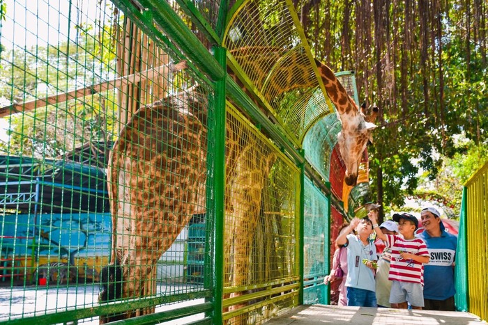 công viên văn hóa đầm sen – ‘thiên đường’ giải trí cực hot dành cho cả gia đình