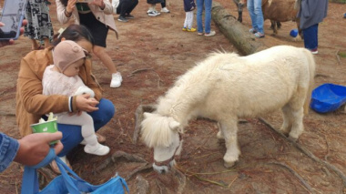 Check-in ‘unique’ zoos in Lam Dong