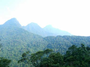 Vườn quốc gia Tam Đảo – “Báu vật” trên núi của tỉnh Vĩnh Phúc