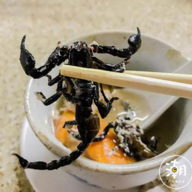 Tận mắt món canh bọ cạp “đặt cược mạng sống” của dân sành ăn