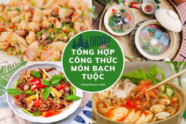 Tổng hợp 20 món bạch tuộc dai giòn sần sật chua cay hấp dẫn