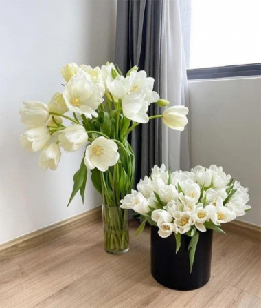 5 loại hoa này để trong nhà như mời gọi vận xui vào cửa