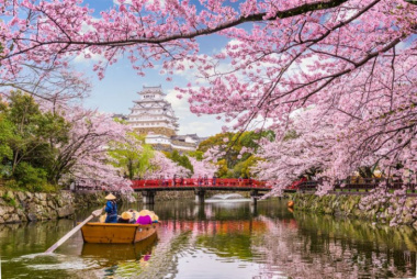 Mùa hoa anh đào Nhật Bản, Những địa điểm ngắm hoa anh đào tuyệt đẹp