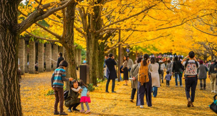 khám phá, kinh nghiệm du lịch tokyo nhật bản chi tiết cho mùa du lịch 2023