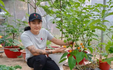 Planting a familiar plant that only sells seeds, 9X Lam Dong has a day to collect 30 million dong
