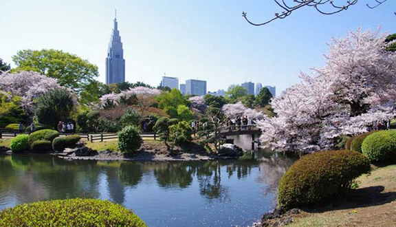 khám phá, những địa điểm du lịch nổi tiếng ở tokyo nhật bản