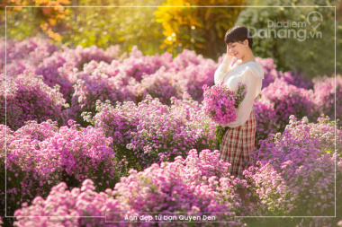 [Cực Hot] Náo nức check-in vườn hoa thạch thảo tím mộng mơ ở Đà Nẵng