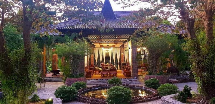 homestay, nhà đẹp, review vẻ đẹp đầy độc đáo và yên bình của rừng tràm trà sư