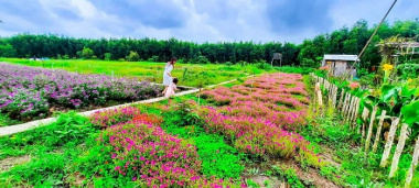 Khu du lịch sinh thái Hoa Rừng U Minh - ‘Đà Lạt’ thu nhỏ ở Cà Mau hút giới trẻ khám phá