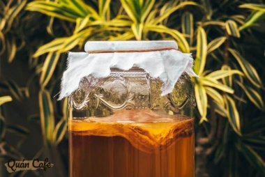 What is Kombucha Tea? A Simple But Interesting Start-up Guide