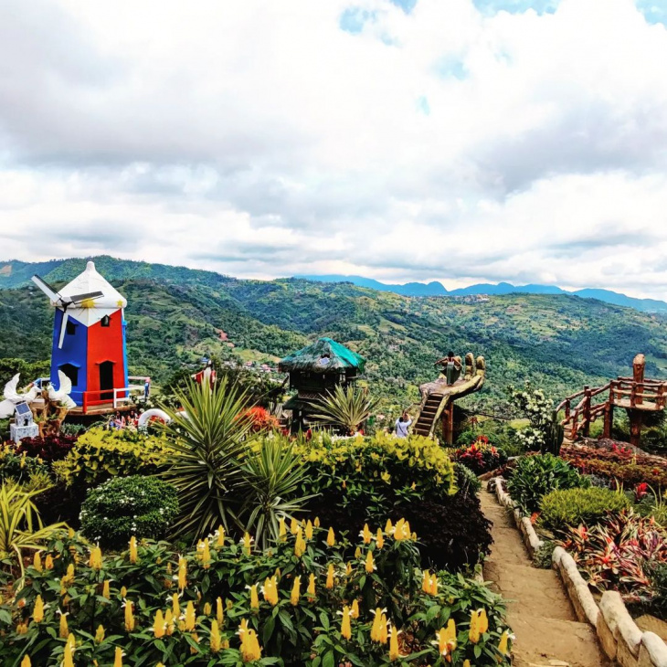 du lịch cebu, du lịch philippines, tour philippines, vườn hoa sirao, điểm đến philippines, vườn hoa sirao đẹp “tựa tiên cảnh” ở philippines