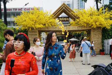 Golden apricot garden in the heart of Saigon attracts visitors