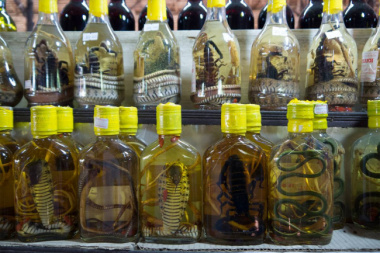 Vietnamese snake wine – Where to buy it & What is it?