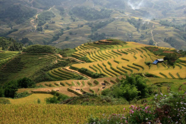 Ta Van village – 6 reasons to stay here instead of Sapa