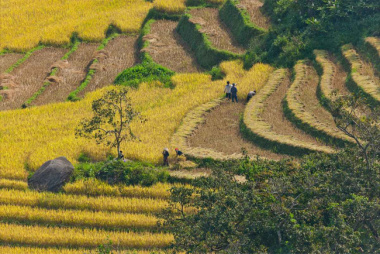 5 best places to see the Sapa terraced rice fields