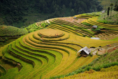 5 alternatives to Sapa to see beautiful terraced rice fields