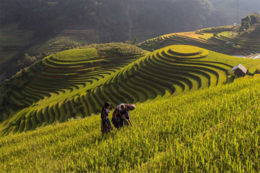 Mu Cang Chai travel guide – How you get to the best rice fields