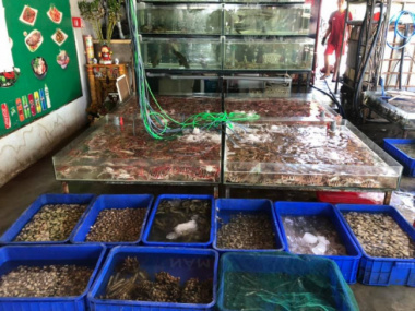 11 Quán lẩu hải sản ngon ở Đà Nẵng cực ngon dành cho bạn