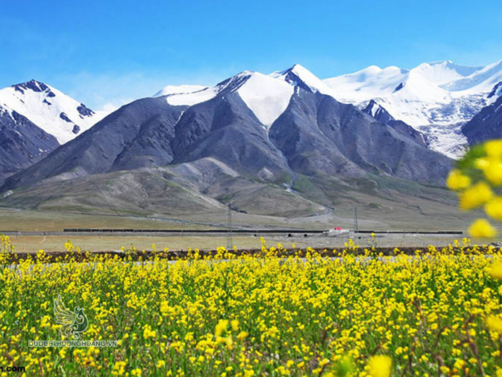 khám phá, đường sắt thanh hải tây tạng - tất tần tật về “chuyến tàu trên không” tây tạng 2023