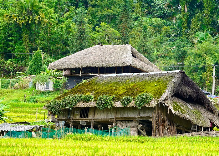 ngôi làng nhà sàn đẹp ở miền bắc, khám phá, trải nghiệm, khám phá những ngôi làng nhà sàn đẹp ở miền bắc với kiến trúc độc đáo, khác biệt 