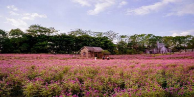Ghé Miền Viên Thảo – Vườn hoa cực kỳ hút khách tại Quảng Trị