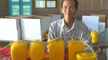 Shape watermelon into gold bars, farmers collect millions of silver for Tet