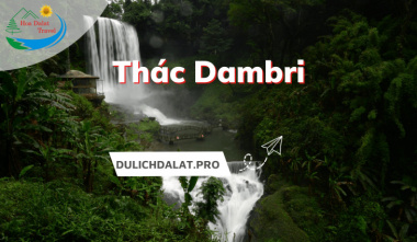 Hành trình khám phá vẻ đẹp thác Dambri Lâm Đồng hùng vĩ