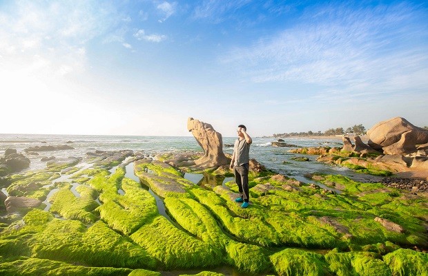 điểm đẹp, review radisson phan thiết – không gian xanh sang trọng bên bờ biển