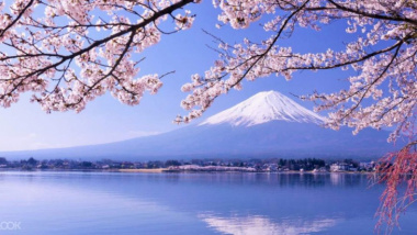 Xin visa đi Nhật Bản – Hướng dẫn thủ tục xin visa đi Nhật từ A – Z (2023)