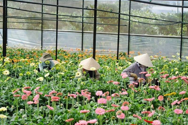 homestay, nhà đẹp, top 15 vườn hoa đà lạt siêu đẹp khiến ai cũng mê mẩn khi đến thăm