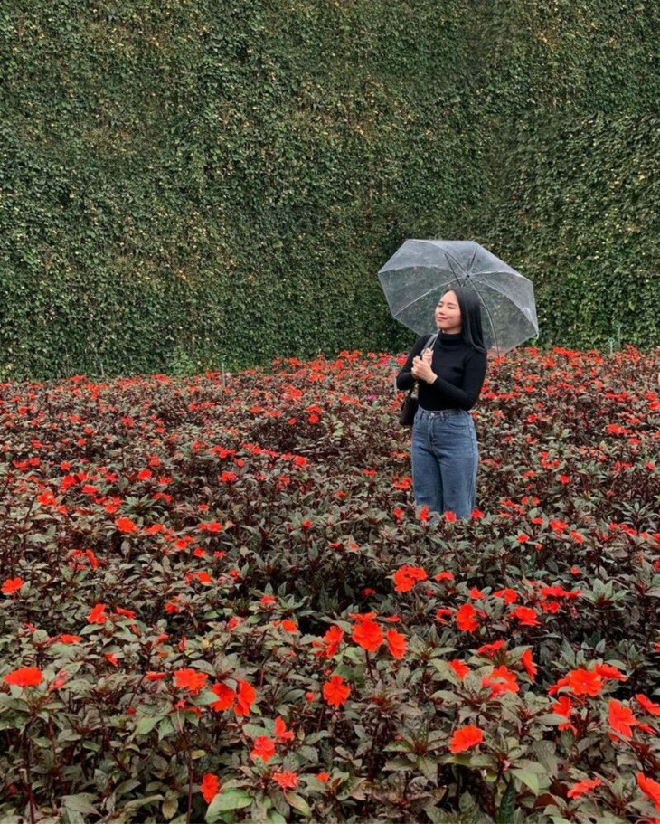 homestay, nhà đẹp, top 15 vườn hoa đà lạt siêu đẹp khiến ai cũng mê mẩn khi đến thăm
