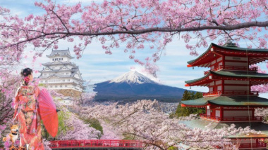 Tour du lịch Nhật bản ngắm Hoa Anh Đào từ Bắc vào Nam 2023
