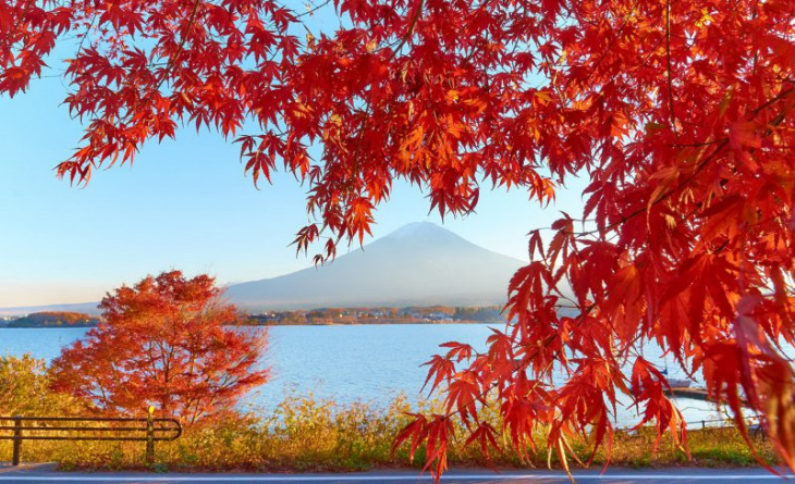 những nơi đẹp nhất để ngắm lá đỏ mùa thu ở nhật bản