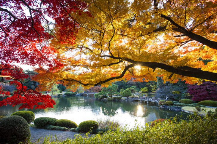 những nơi đẹp nhất để ngắm lá đỏ mùa thu ở nhật bản