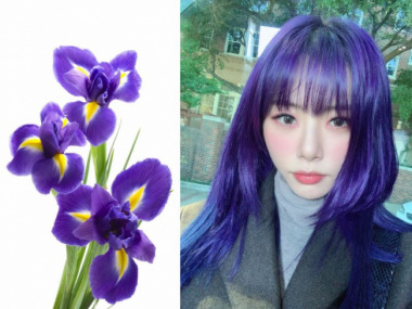 Màu nhuộm Iris Purple – Màu tóc sành điệu nổi bật hết nấc