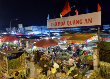 Chợ hoa Quảng An – Thiên đường hoa tươi giữa lòng Hà Nội