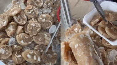 Strange with ice-crusted pork rolls, sold like ice cream in Chau Doc, An Giang