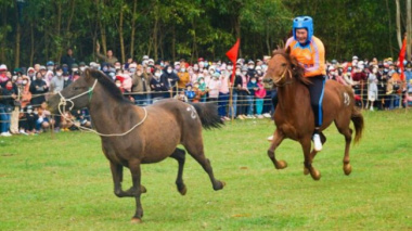 Thousands of people enjoy watching farmers race horses at the Go Thi Thung festival
